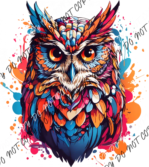 Colorful Owl DTF Transfer