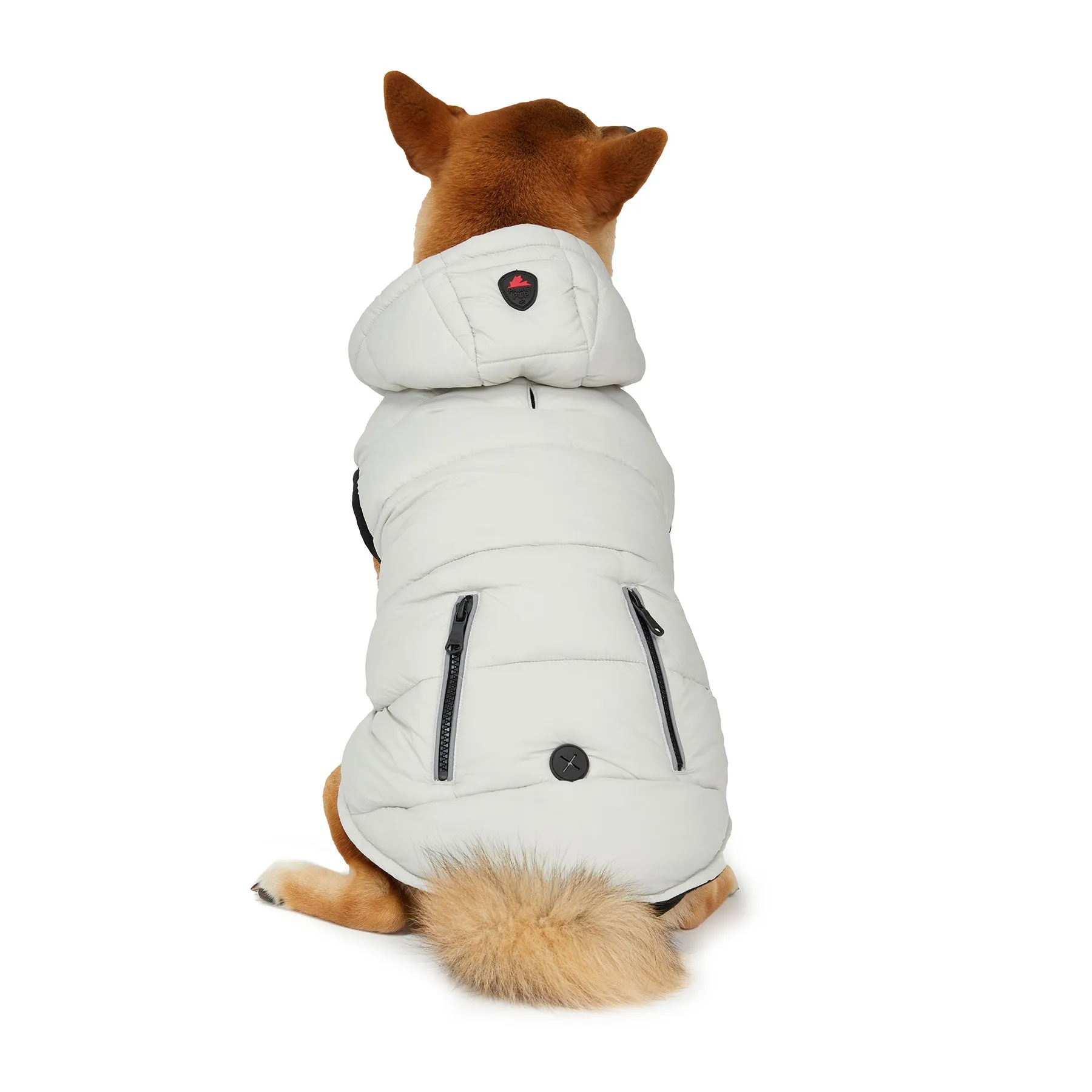 Duke Jacket for Dogs