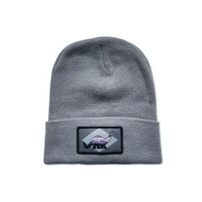 Sinclair Patch Beanie